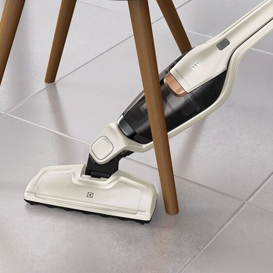Aspirator vertical Electrolux EERC75SW
