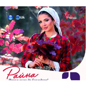 Грамофонни плочи и аудио дискове