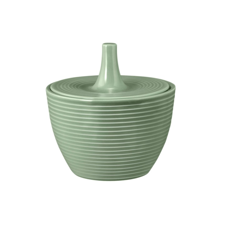 Recipient zahar 270 ml, portelan, design modern, verde