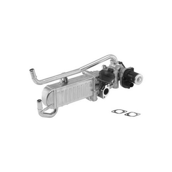 Modul-EGR BorgWarner (Wahler) 710862D