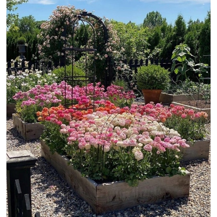 Gard pentru plante, Azaris, 120x80x20cm, set complet pentru montaj, din lemn de pin neimpregnat