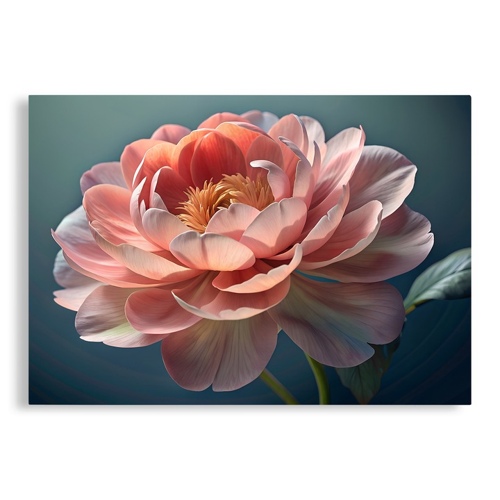 Tablou Canvas, Floral, Pink Peony, 80x120