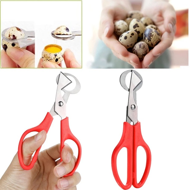 Foarfece pentru oua de prepelita, inox, 14x6cm, argintiu/portocaliu