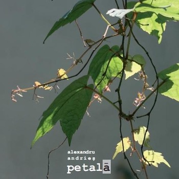 Petala - Alexandru Andries Petala - Alexandru Andries