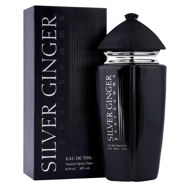 Парфюмна вода BN Parfums Silver Ginger pour homme, мъже, 100 мл