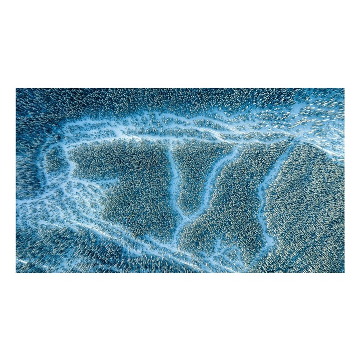 Картина на платно, "Омагьосана замръзнала гора отгоре", 150x100 см