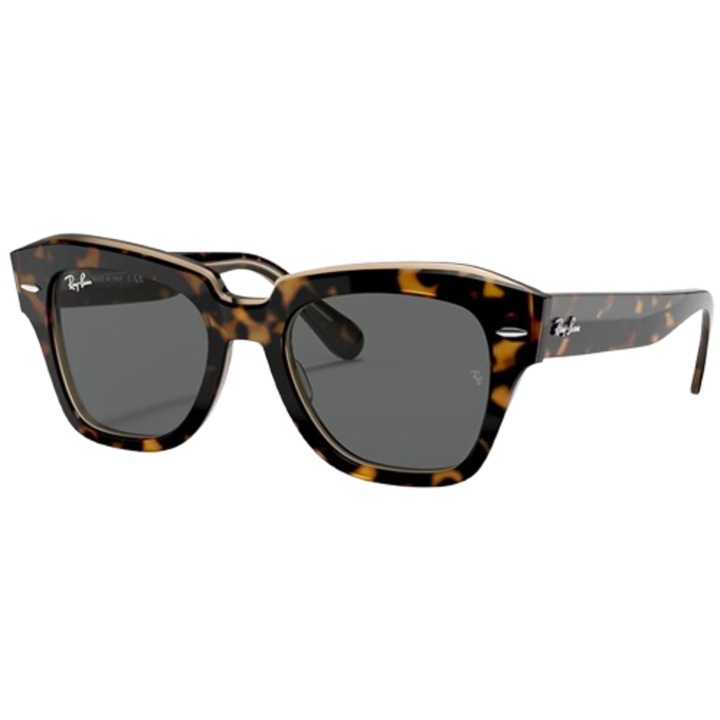 Слънчеви очила, Ray-Ban RB2186 State Street, градиент, костенурково сиво