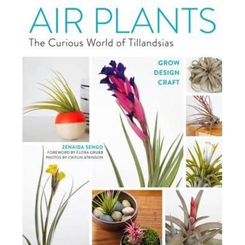 Air Plants Air Plants
