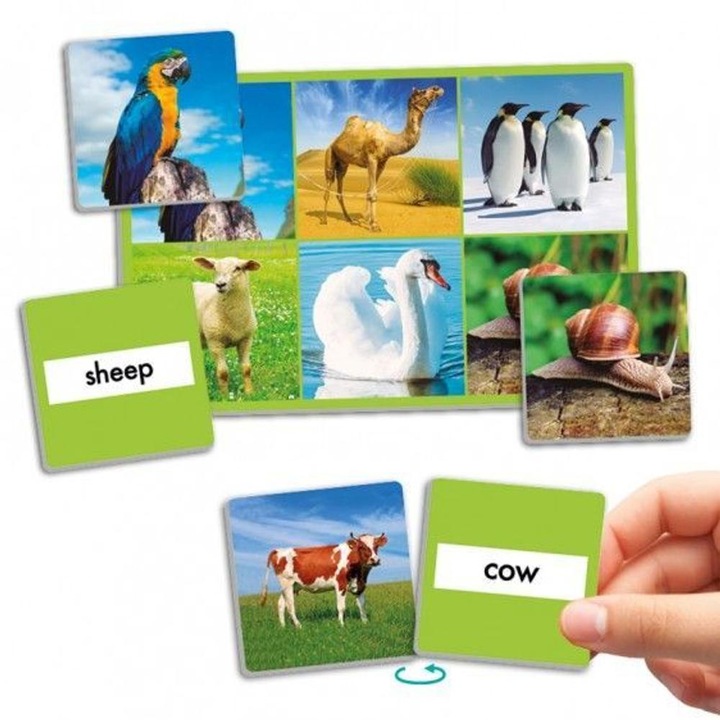 Állatos lottójáték