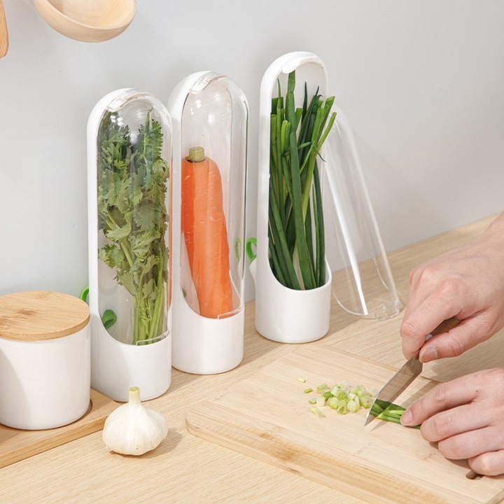 Recipient pentru depozitarea ierburilor proaspete, menta, legume pentru frigider si alte produse, 25x6.5cm [3]