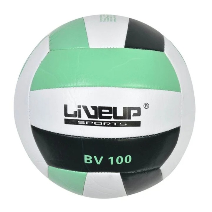 Minge de volei, PVC, alb/verde, Nr.5, 20.7~21.3cm