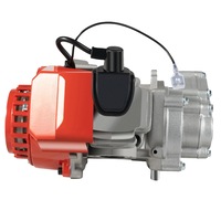 Motor 49cc 2-Timpi, Putere Maxima 9kW, Constructie Aluminiu Usor, Rosu