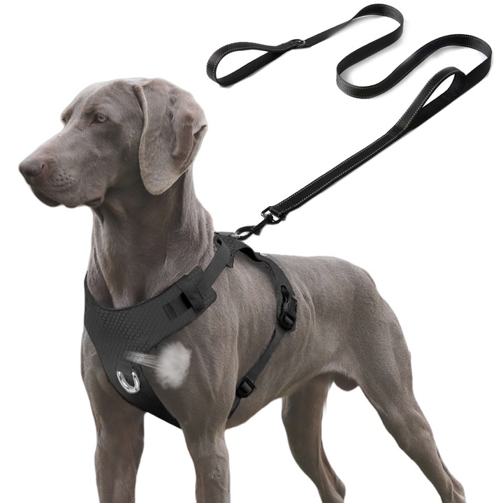 Set Ham si Lesa pentru Caini MUGIM, Tip Aer Fara Presiune, Ham Usor 180g si Lesa cu maner moale, Respirabil, Negru, Max 45kgs, XL