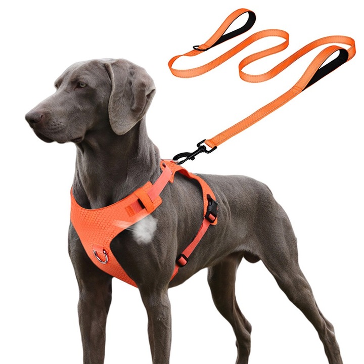 Set Ham si Lesa pentru Caini MUGIM, Tip Aer Fara Presiune, Ham Usor 180g si Lesa cu maner moale, Respirabil, Portocaliu, Max 45kgs, XL