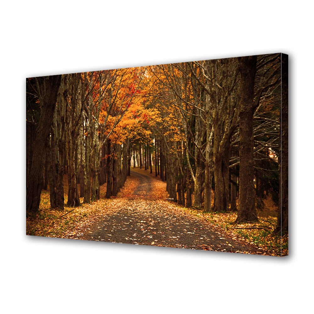 Tablou Canvas Peisaj de Toamna cu Aleea toamnei, 80 x 140 cm