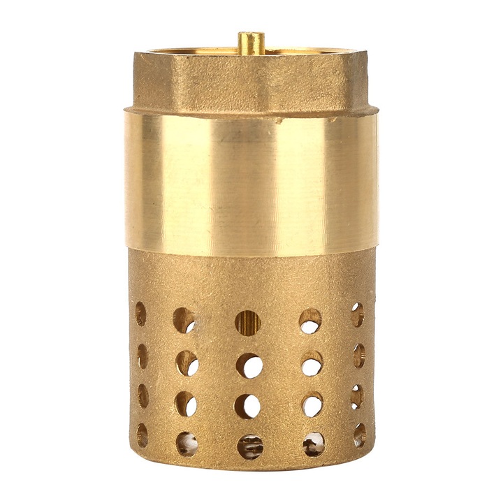 Supapa sens unic HERUSI din alama cu filtru si filet femela DN25