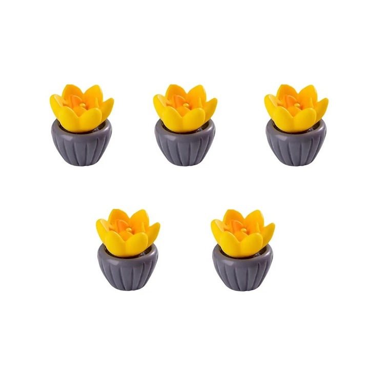 Set 5 Ornamente Miniaturale pentru Peisaje, Plante Mini, Accesorii DIY, Ornamente din Rasina, Decoratiuni pentru Gradina