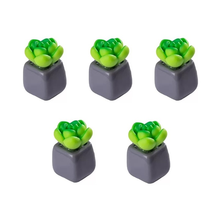 Set 5 Ornamente Miniaturale pentru Peisaje, Plante Mini, Accesorii DIY, Ornamente din Rasina, Decoratiuni pentru Gradina