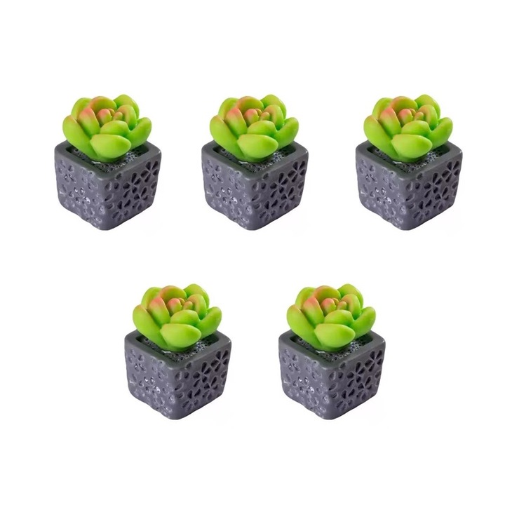 Set 5 Ornamente Miniaturale pentru Peisaj, Plante Miniature, Accesorii DIY, Ornamente din Rasina, Decoratiuni pentru Gradina