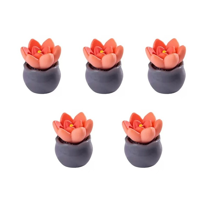 Set 5 Ornamente Miniaturale pentru Peisaj, Plante Miniaturale, Accesorii DIY, Ornamente din Rasina, Decoratiuni pentru Gradina