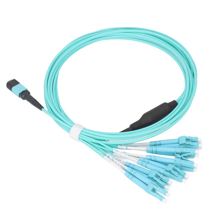 Cablu Jumper Fibra Enforose MPO-LC, 12 nuclee, 10 Gigabit, multicolor, 1m