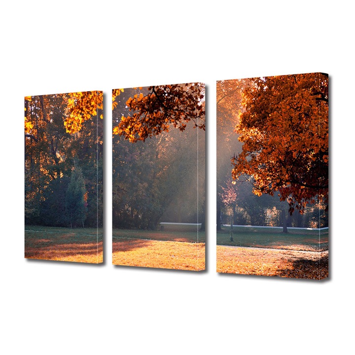 Set Tablouri Multicanvas 3 Piese Peisaj de Toamna cu Raza in mijlocul poienii, 25 x 45 cm