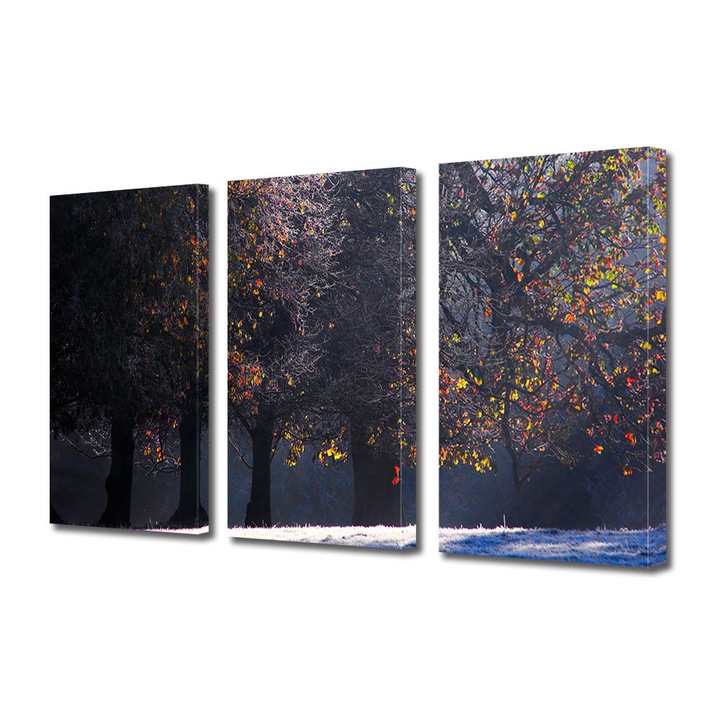 Set Tablouri Multicanvas 3 Piese Peisaj de Toamna cu Poiana cu bruma , 25 x 45 cm