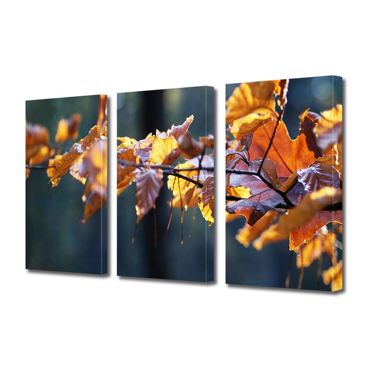 Set Tablouri Multicanvas 3 Piese Peisaj de Toamna cu Ramura colorata, 25 x 45 cm