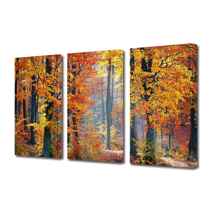 Set Tablouri Multicanvas 3 Piese Peisaj de Toamna cu Magia padurii, 25 x 45 cm