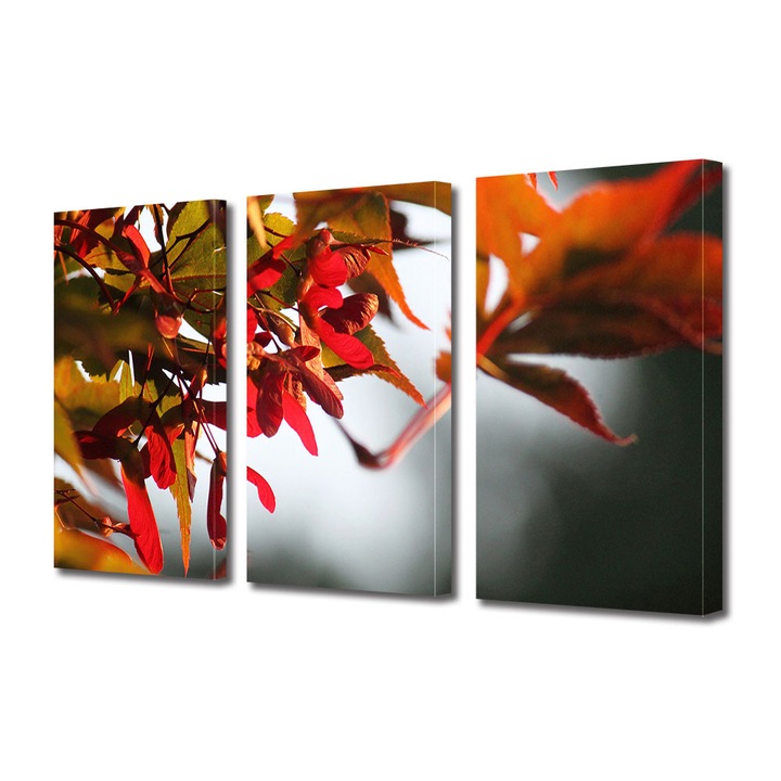 Set Tablouri Multicanvas 3 Piese Peisaj de Toamna cu Frunze in lumina apusului, 25 x 45 cm
