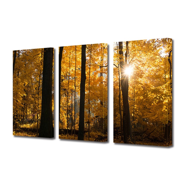 Set Tablouri Multicanvas 3 Piese Peisaj de Toamna cu Apus de soare in padure, 25 x 45 cm