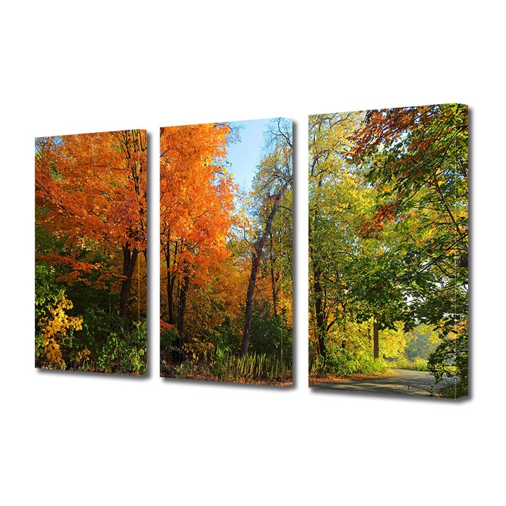 Set Tablouri Multicanvas 3 Piese Peisaj de Toamna cu Copaci colorati pe marginea drumului, 25 x 45 cm