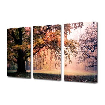 Set Tablouri Multicanvas 3 Piese Peisaj de Toamna cu Dimineata cu ceata in parc, 30 x 60 cm Set Tablouri Multicanvas 3 Piese Peisaj de Toamna cu Dimineata cu ceata in parc, 30 x 60 cm