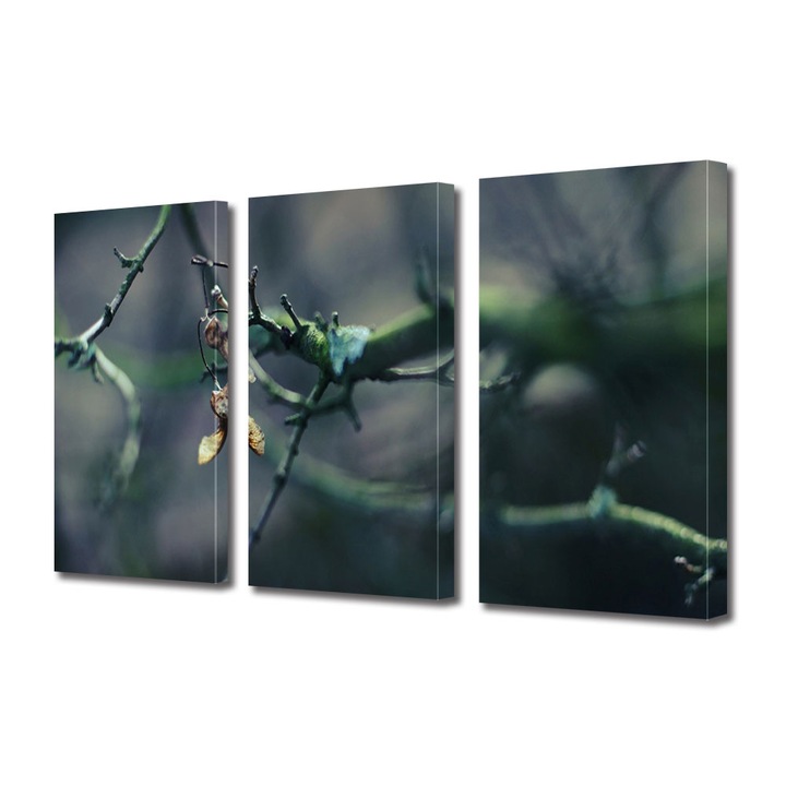 Set Tablouri Multicanvas 3 Piese Peisaj de Toamna cu Crenguta verde fara frunze, 25 x 45 cm
