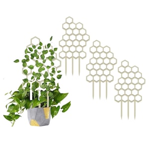 Ghivece si suporturi