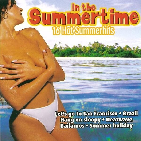 V/A 16 Hot Summerhits - In The Summertime - CD