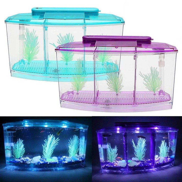 Mini akvárium, LED, szűrő, kék-lila, 3 rekeszes