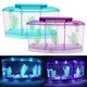 Mini akvárium, LED, szűrő, kék-lila, 3 rekeszes