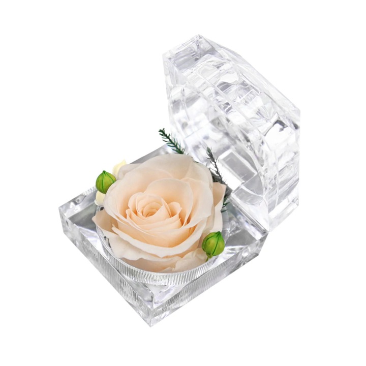 Cutie inel trandafir conservat YANYXR acrilic 4.8x4.8x4.8cm maro