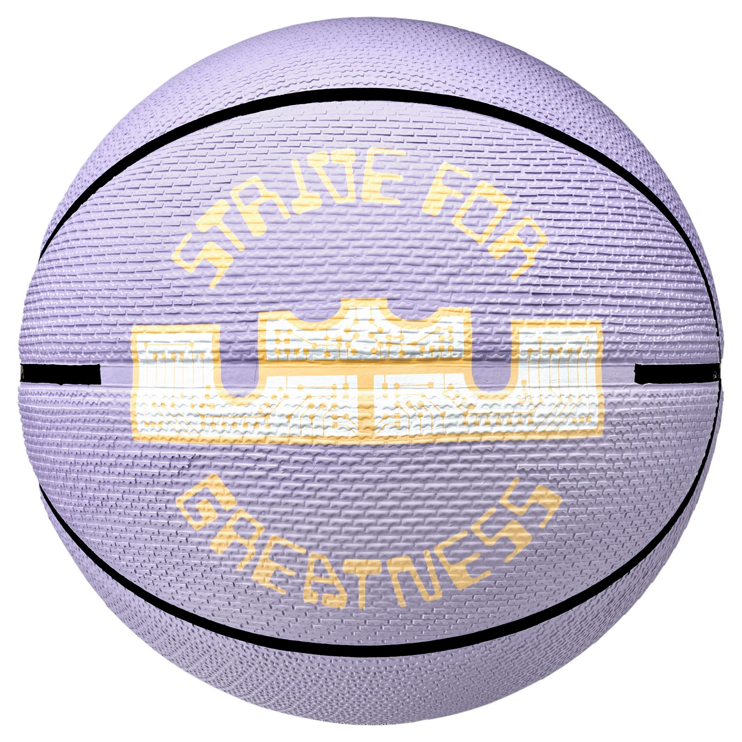 Minge baschet Nike Playground 2.0 8P Lebron Jamesflated, mov