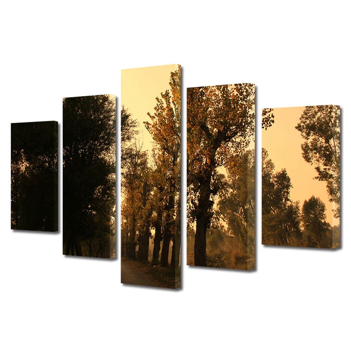 Set Tablouri Multicanvas 5 Piese Peisaj de Toamna cu Lumina serii pe drum, 120 x 225 cm