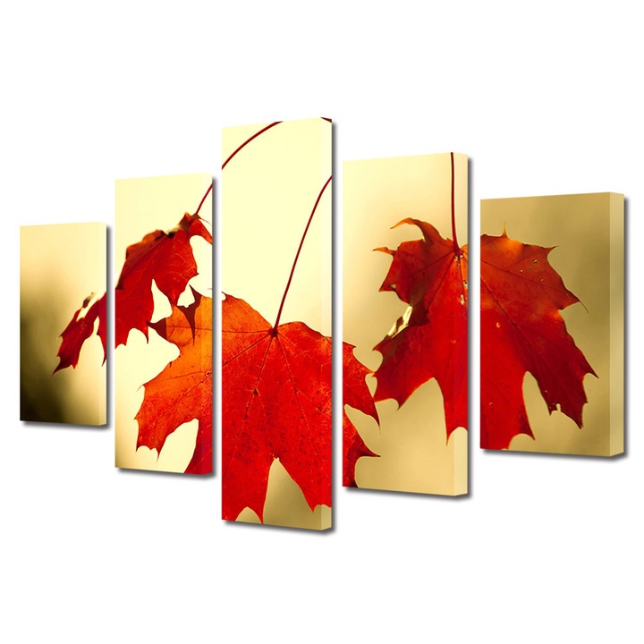 Set Tablouri Multicanvas 5 Piese Peisaj de Toamna cu Trei frunze in lumina, 100 x 175 cm