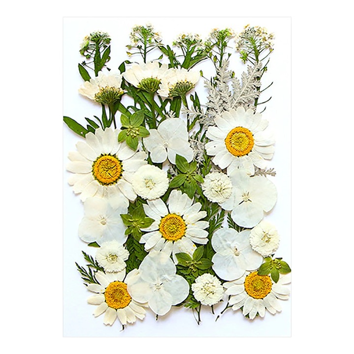 Flori uscate presate, set pentru rasina, roz, 14.5x10.5cm