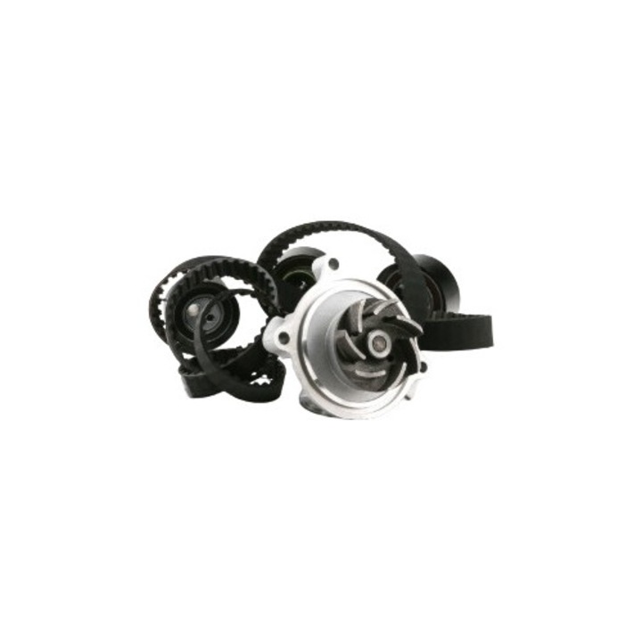 INA 530048330 vízpumpa és vezérműszíj készlet