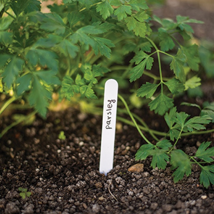 Комплект пластмасови етикети за растения за многократна употреба Parkside с молив за маркиране на разсад, 33 части, бял