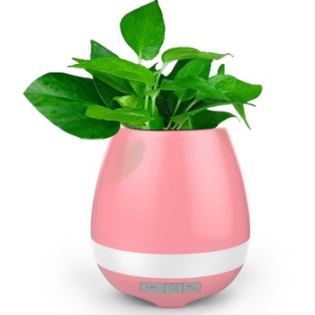 Glastra bluetooth Smart Music Flower, 5W, Roz Glastra bluetooth Smart Music Flower, 5W, Roz