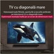 Televizor LG NanoCell 43NANO80A3B, 108 cm, Smart, 4K Ultra HD, Clasa G (Model 2025)