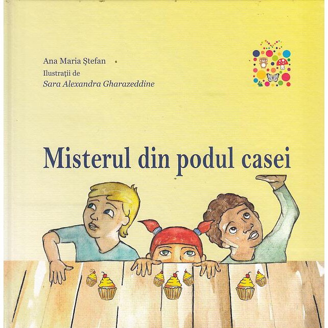 Misterul din podul casei - Ana Maria Stefan