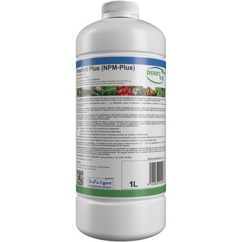 Bioactivator fosa septica, 1L, Nourivit Plus Bioactivator fosa septica, 1L, Nourivit Plus