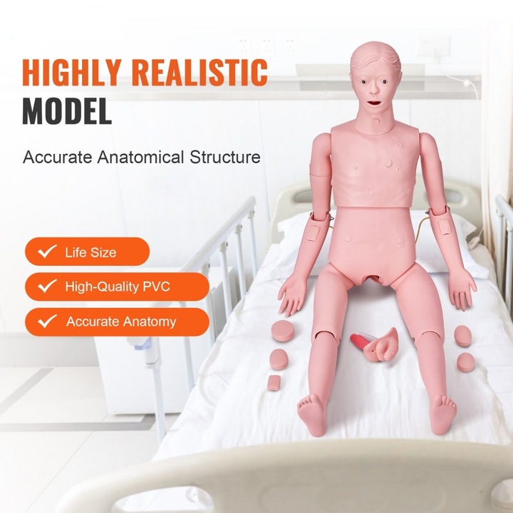 Manechin de Antrenament Medical, Model Uman Masculin, pentru Practica Asistentelor Medicale, Material Didactic Multifunctional, Simulator Ingrijire Corp, Fabricat din PVC